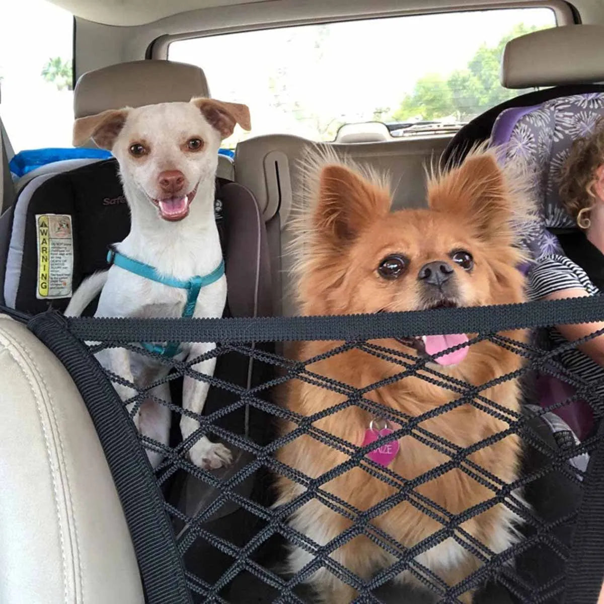 Dragon Barrier: Ultimate Pet Car Safety